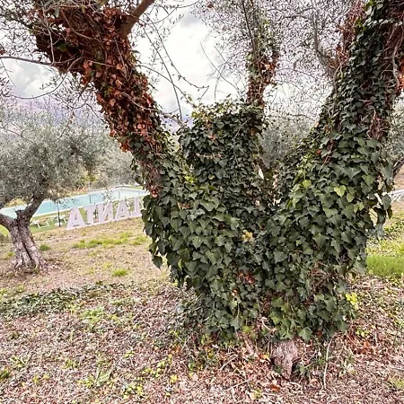Casa Rural Atalanta De La Vera Lantställe *