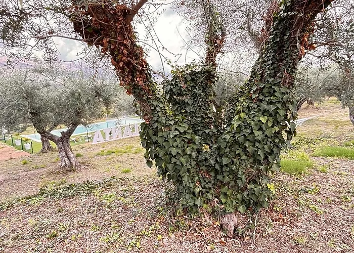 Casa Rural Atalanta De La Vera Country house *