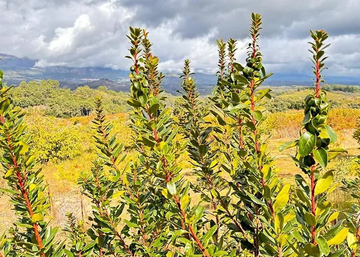 Country house Casa Rural Atalanta De La Vera Jaraiz de la Vera
